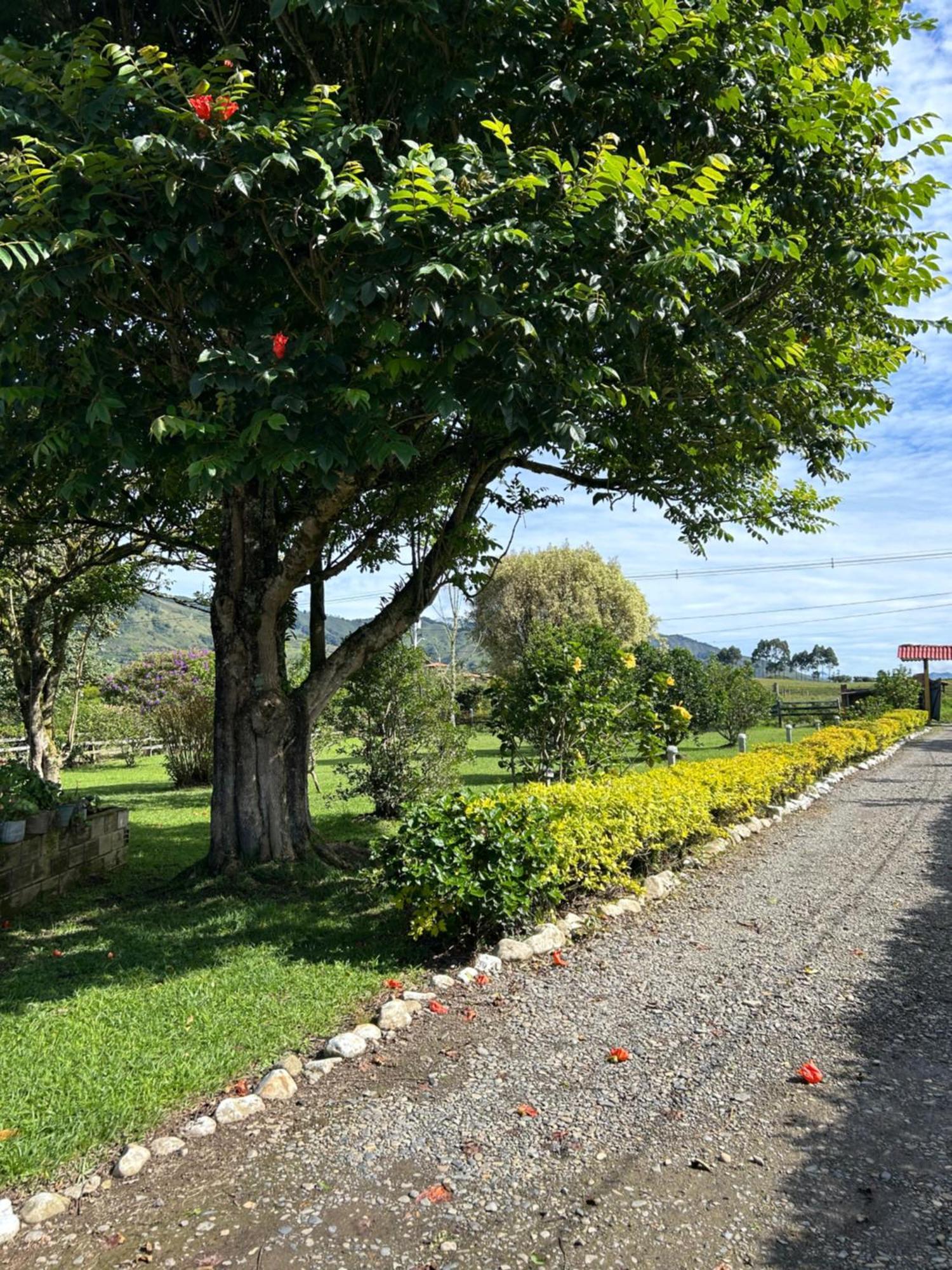 Finca Hotel Paraiso Urrao Esterno foto